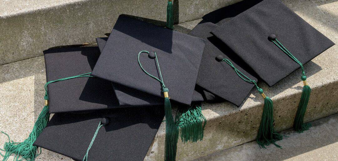 Publicatie theses MHBA 2024