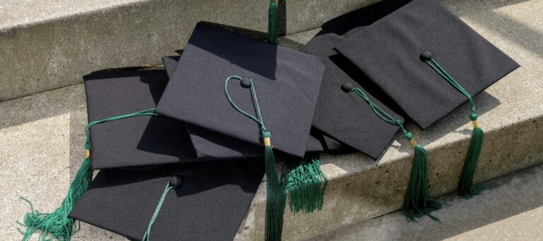 Publicatie theses MHBA 2024