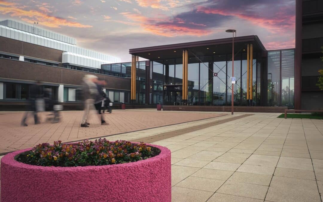 Dezelfde kennis, dezelfde taal: de impact van een maatwerkprogramma