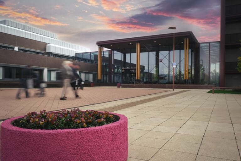 Dezelfde kennis, dezelfde taal: de impact van een maatwerkprogramma