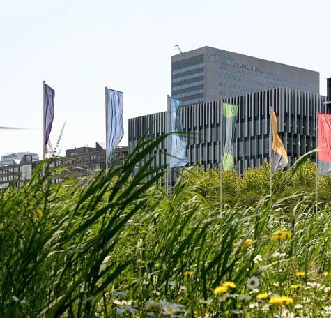 Wisseling van de wacht in de raad van commissarissen